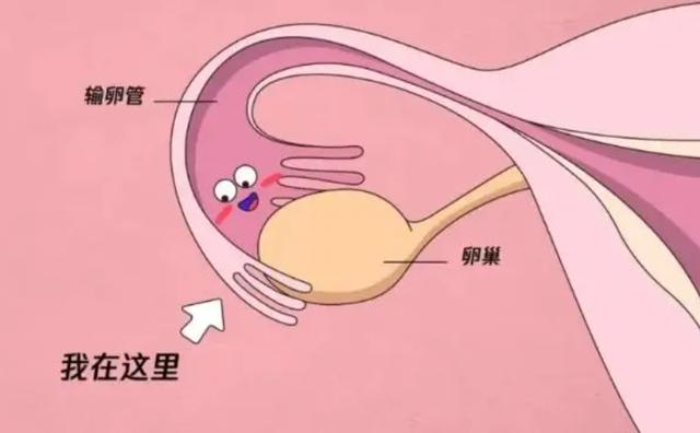 支原体感染