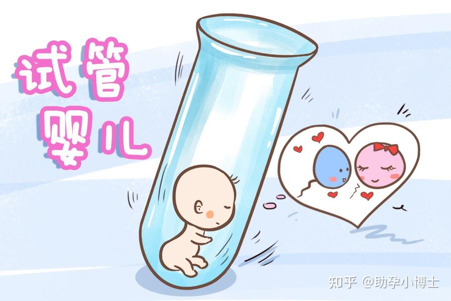 文山助孕先309584q上