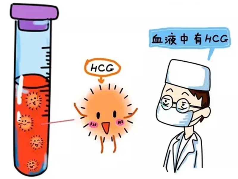 揭阳试管
