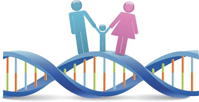 无创dna