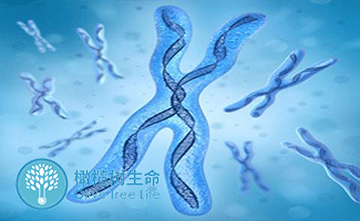 代孕